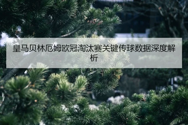 huang-ma-bei-lin-e-mu-ou-guan-tao-tai-sai-guan-jian-chuan-qiu-shu-ju-shen-du-jie-xi-2-331.jpg