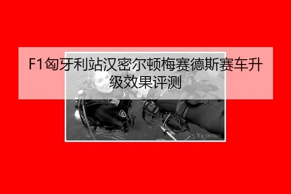 xiong-ya-li-zhan-han-mi-er-dun-mei-sai-de-si-sai-che-sheng-ji-xiao-guo-ping-ce-3-577.jpg