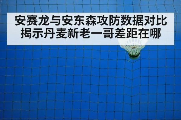 badminton net play